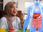 Jadwal Makan Berdasarkan Organ Tubuh