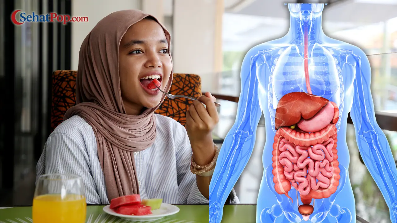 Jadwal Makan Berdasarkan Organ Tubuh